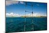 Boat Ladder Leading to the Turquoise Ocean, Culebra Island, Puerto Rico-null-Mounted Photographic Print