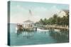 Boat Landing, Palm Beach, Florida-null-Stretched Canvas