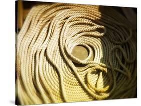Boat line coiled-Savanah Plank-Stretched Canvas