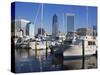 Boat Marina, Jacksonville, Florida, United States of America, North America-Richard Cummins-Stretched Canvas