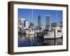 Boat Marina, Jacksonville, Florida, United States of America, North America-Richard Cummins-Framed Photographic Print