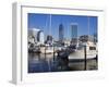 Boat Marina, Jacksonville, Florida, United States of America, North America-Richard Cummins-Framed Photographic Print