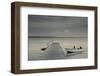 Boat moored at dock, Dunmore Town, Harbour Island, Eleuthera Island, Bahamas-null-Framed Photographic Print