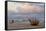 Boat on Beach, Ahlbeck, Island of Usedom, Baltic Coast, Mecklenburg-Vorpommern, Germany, Europe-Miles Ertman-Framed Stretched Canvas