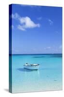 Boat on Blue Lagoon, Nacula Island, Yasawa Islands, Fiji-Ian Trower-Stretched Canvas