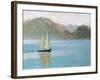 Boat on Lake Geneva, 1892-F?lix Vallotton-Framed Giclee Print