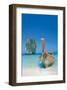 Boat on The Beach-null-Framed Art Print