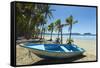 Boat on the Palm-Fringed Beach at This Laid-Back Village and Resort-Rob Francis-Framed Stretched Canvas