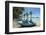 Boat on the Palm-Fringed Beach at This Laid-Back Village and Resort-Rob Francis-Framed Photographic Print