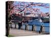 Boat on the Willamette River, Portland, Oregon, USA-Janis Miglavs-Stretched Canvas