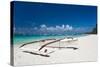 Boat on Tropical Beach-pashapixel-Stretched Canvas