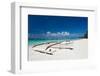 Boat on Tropical Beach-pashapixel-Framed Photographic Print
