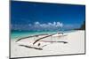 Boat on Tropical Beach-pashapixel-Mounted Photographic Print