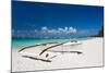 Boat on Tropical Beach-pashapixel-Mounted Photographic Print