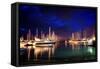 Boat Park 0777-Pixie Pics-Framed Stretched Canvas