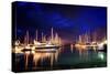 Boat Park 0777-Pixie Pics-Stretched Canvas