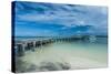 Boat Pier on Carp Island, One of the Rock Islands, Palau, Central Pacific, Pacific-Michael Runkel-Stretched Canvas