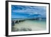 Boat Pier on Carp Island, One of the Rock Islands, Palau, Central Pacific, Pacific-Michael Runkel-Framed Photographic Print