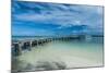 Boat Pier on Carp Island, One of the Rock Islands, Palau, Central Pacific, Pacific-Michael Runkel-Mounted Photographic Print