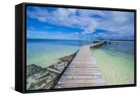 Boat Pier on Carp Island, One of the Rock Islands, Palau, Central Pacific, Pacific-Michael Runkel-Framed Stretched Canvas