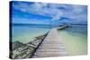 Boat Pier on Carp Island, One of the Rock Islands, Palau, Central Pacific, Pacific-Michael Runkel-Stretched Canvas
