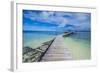 Boat Pier on Carp Island, One of the Rock Islands, Palau, Central Pacific, Pacific-Michael Runkel-Framed Photographic Print