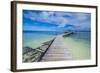 Boat Pier on Carp Island, One of the Rock Islands, Palau, Central Pacific, Pacific-Michael Runkel-Framed Photographic Print