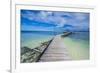 Boat Pier on Carp Island, One of the Rock Islands, Palau, Central Pacific, Pacific-Michael Runkel-Framed Photographic Print