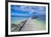 Boat Pier on Carp Island, One of the Rock Islands, Palau, Central Pacific, Pacific-Michael Runkel-Framed Photographic Print