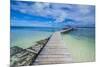 Boat Pier on Carp Island, One of the Rock Islands, Palau, Central Pacific, Pacific-Michael Runkel-Mounted Photographic Print