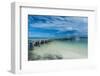 Boat Pier on Carp Island, One of the Rock Islands, Palau, Central Pacific, Pacific-Michael Runkel-Framed Photographic Print