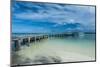 Boat Pier on Carp Island, One of the Rock Islands, Palau, Central Pacific, Pacific-Michael Runkel-Mounted Photographic Print