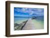 Boat Pier on Carp Island, One of the Rock Islands, Palau, Central Pacific, Pacific-Michael Runkel-Framed Photographic Print