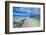 Boat Pier on Carp Island, One of the Rock Islands, Palau, Central Pacific, Pacific-Michael Runkel-Framed Photographic Print