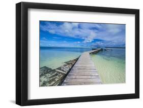 Boat Pier on Carp Island, One of the Rock Islands, Palau, Central Pacific, Pacific-Michael Runkel-Framed Photographic Print