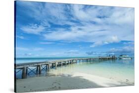 Boat Pier on Carp Island, One of the Rock Islands, Palau, Central Pacific-Michael Runkel-Stretched Canvas