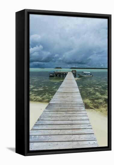 Boat Pier on Carp Island, One of the Rock Islands, Palau, Central Pacific-Michael Runkel-Framed Stretched Canvas