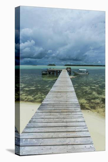 Boat Pier on Carp Island, One of the Rock Islands, Palau, Central Pacific-Michael Runkel-Stretched Canvas