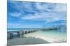 Boat Pier on Carp Island, One of the Rock Islands, Palau, Central Pacific-Michael Runkel-Mounted Premium Photographic Print