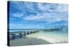 Boat Pier on Carp Island, One of the Rock Islands, Palau, Central Pacific-Michael Runkel-Stretched Canvas