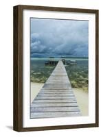 Boat Pier on Carp Island, One of the Rock Islands, Palau, Central Pacific-Michael Runkel-Framed Photographic Print