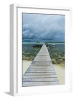 Boat Pier on Carp Island, One of the Rock Islands, Palau, Central Pacific-Michael Runkel-Framed Photographic Print