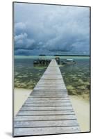 Boat Pier on Carp Island, One of the Rock Islands, Palau, Central Pacific-Michael Runkel-Mounted Photographic Print