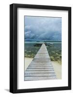 Boat Pier on Carp Island, One of the Rock Islands, Palau, Central Pacific-Michael Runkel-Framed Photographic Print