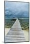 Boat Pier on Carp Island, One of the Rock Islands, Palau, Central Pacific-Michael Runkel-Mounted Photographic Print