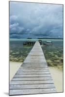 Boat Pier on Carp Island, One of the Rock Islands, Palau, Central Pacific-Michael Runkel-Mounted Photographic Print