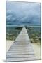 Boat Pier on Carp Island, One of the Rock Islands, Palau, Central Pacific-Michael Runkel-Mounted Photographic Print