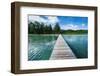 Boat Pier on Carp Island, One of the Rock Islands, Palau, Central Pacific-Michael Runkel-Framed Photographic Print