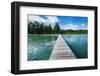 Boat Pier on Carp Island, One of the Rock Islands, Palau, Central Pacific-Michael Runkel-Framed Photographic Print