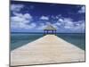 Boat Pier on the Island of Mayotte, Comoros, Indian Ocean, Africa-Michael Runkel-Mounted Photographic Print